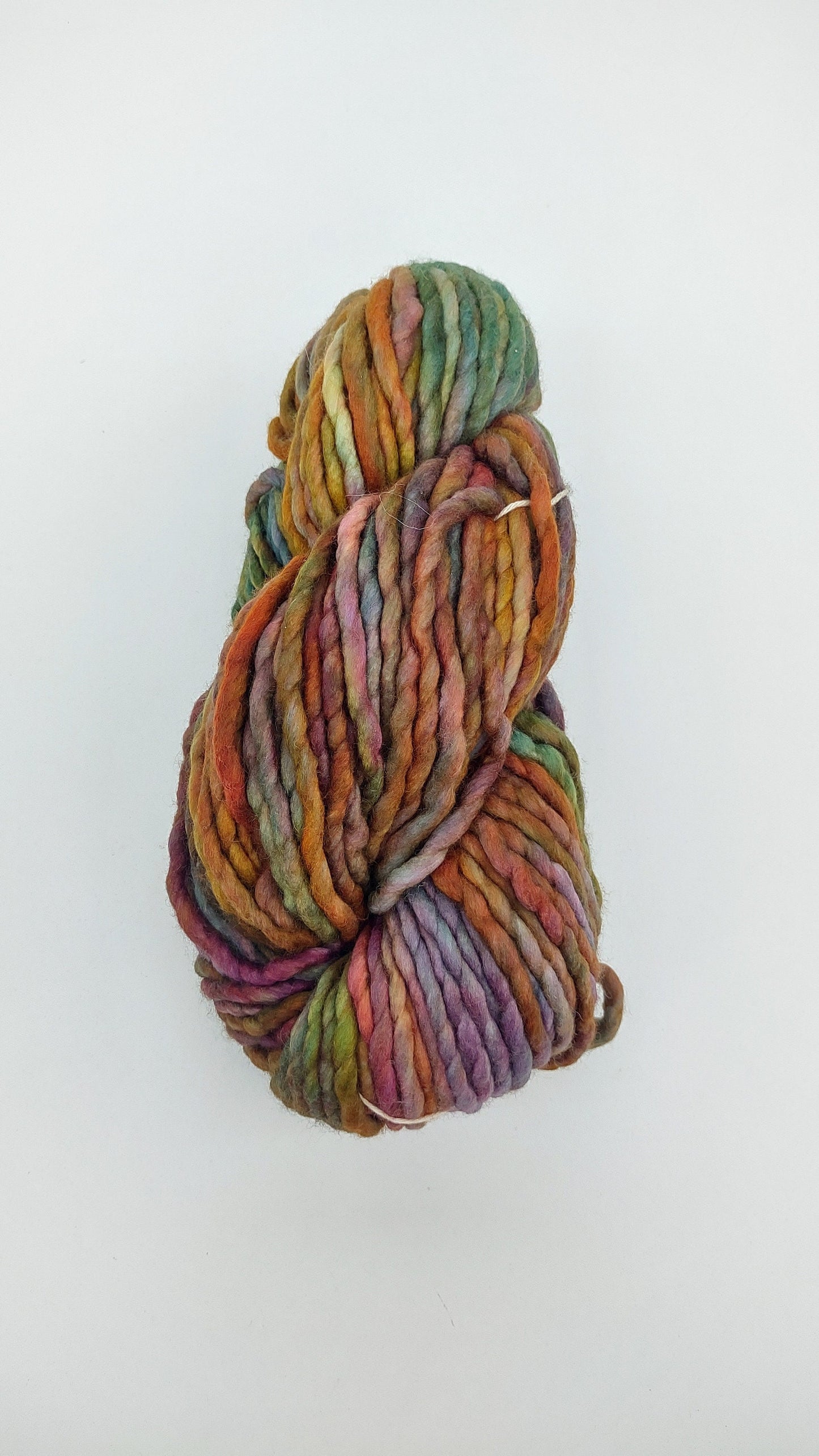 Malabrigo Rasta Yarn in color Diana. Merino Wool. Soft Warm Yarn. Variegated Yarn. Knitting Crochet Wool. Autumn Rainbow Colors. Knit Kit